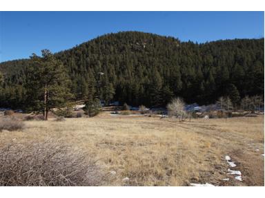 1667 Park County Road 835, Bailey, CO 80421 