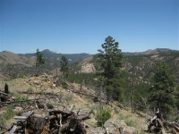 909 HOLMES GULCH Way, Bailey, CO 80421 