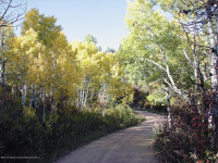 10525 S Deer Creek Road, Littleton, CO 10525 