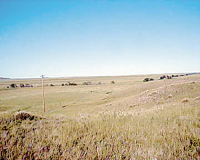 Weld County Road 126.5, Carr, CO 80612 