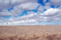 0 Highway 85, Nunn, CO 80648 