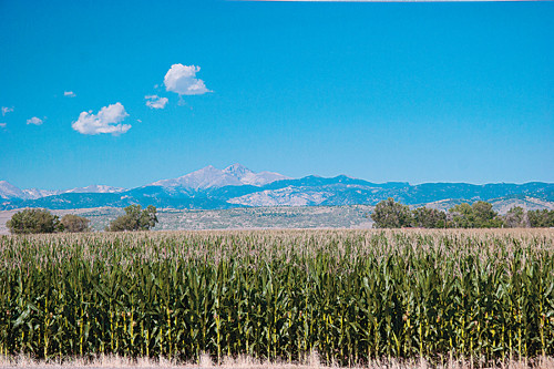 5751 Pintail Way, Frederick, CO 80504 