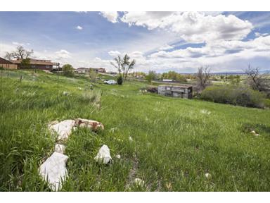 12700 West 82ND Avenue, Arvada, CO 12700 