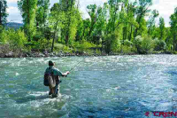 5000 E HWY 160, Pagosa Springs, CO 81147 