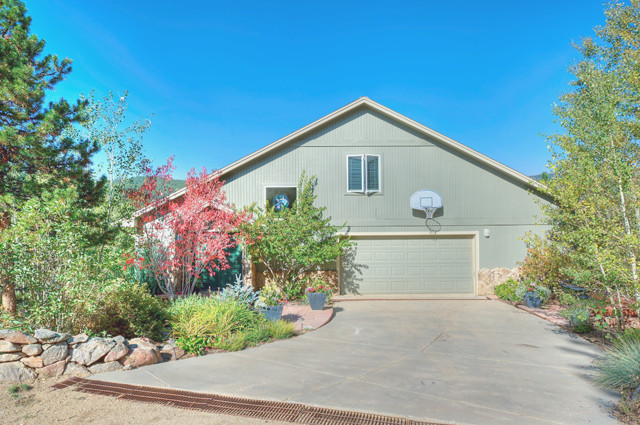 127 Wolftongue Rd, Nederland, CO 80466 