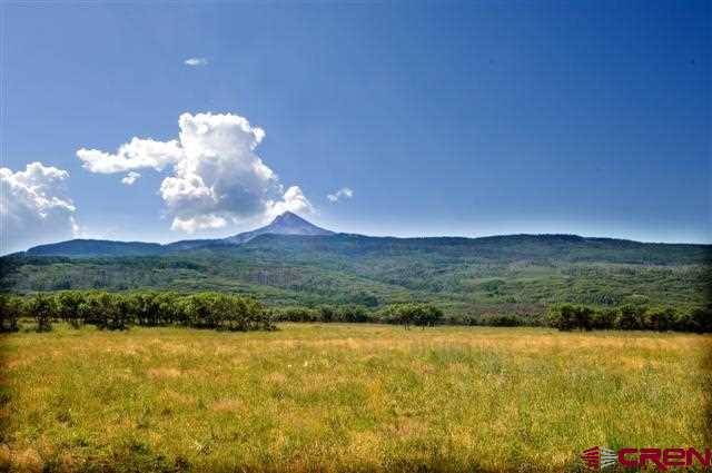 44Z road, Norwood, CO 81423 