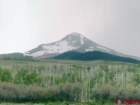 44M Beef Trail, Norwood, CO 81423 