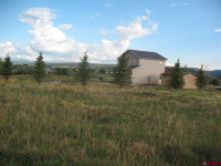 602 Cedar Drive, Norwood, CO 81423 