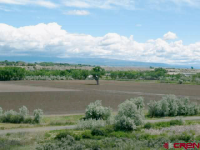 16337 D25 Road, Delta, CO 16337 