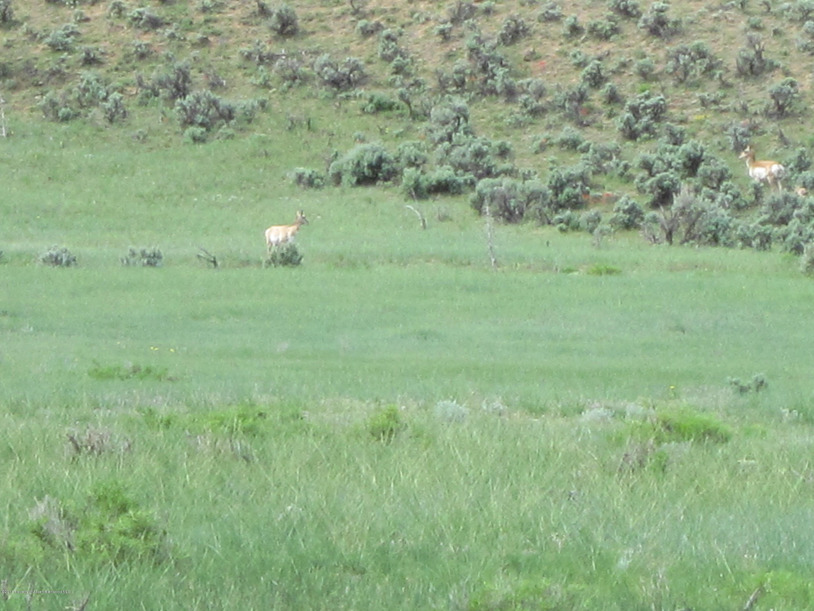 Lot 1 Rbcr 71, Meeker, CO 81641 