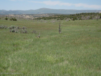 Lot 2 Rbcr 71, Meeker, CO 81641 