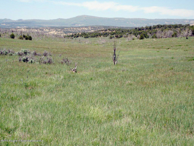 Lot 4 Rbcr 71, Meeker, CO 81641 