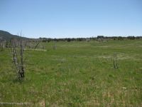 Lot 3 Rbcr 71, Meeker, CO 81641 