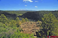 16800 Road 36.5, Mancos, CO 16800 