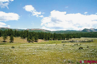 TBD CR 44, Mancos, CO 81328 