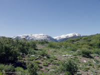 Tbd Rabbit Way, Snowmass, CO 81654 