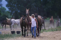 3275 County Road, Carbondale, CO 81623 