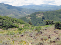 Tbd Mesa County Road, Silt, CO 81652 