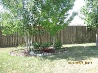 Elizabeth Street, Dacono, CO 80514 