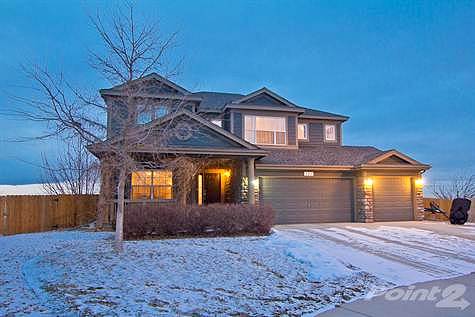 Merganser, Johnstown, CO 80534 