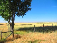 East 126Th Avenue, Brighton, CO 80022 