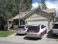 Buckthorn, New Castle, CO 81647 