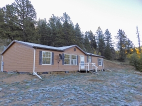 82 Pika Creek Trl, Florissant, CO 80816 