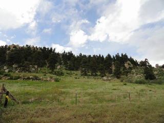 4085 Douglas Mtn. Dr, Golden, CO 80403 