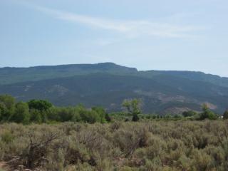 3981 Purdy Mesa Rd, Whitewater, CO 81527 