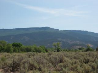 3981 Purdy Mesa Rd, Whitewater, CO 81527 