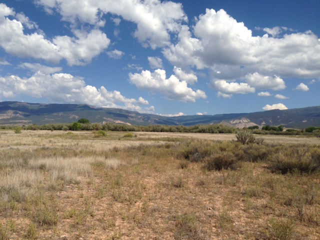 808 Purdy Mesa Rd., Whitewater, CO 81527 