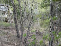 2841 Basingdale Blvd, Vail, CO 81657 