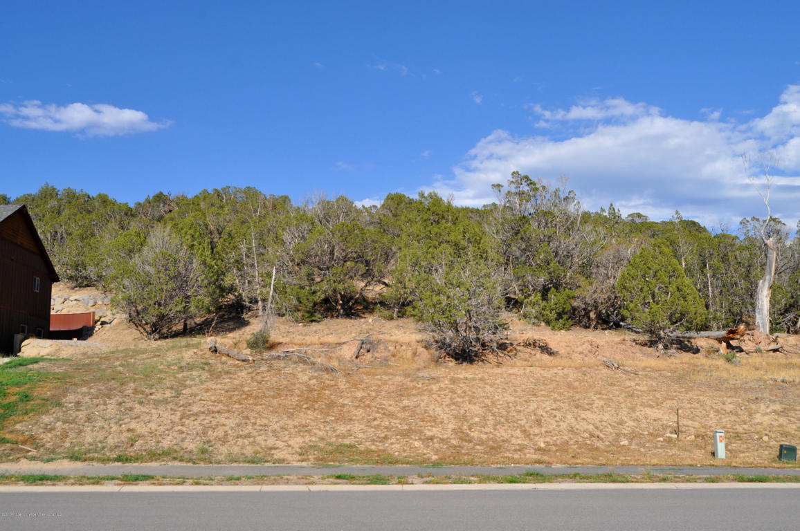 340 Faas Ranch Rd, New Castle, CO 81647 