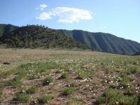 253 Blackhawk Dr, New Castle, CO 81647 