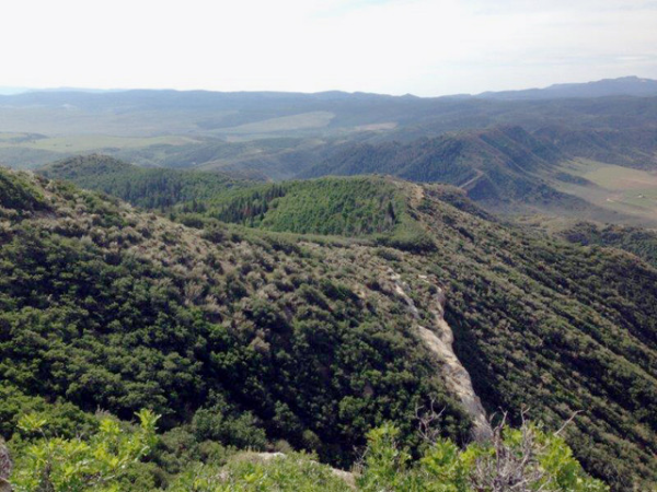 TBD Routt County Road 37, Hayden, CO 81639 