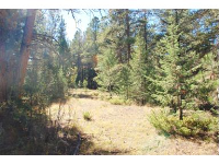 4 Pine Valley Road, Pine, CO 80470 