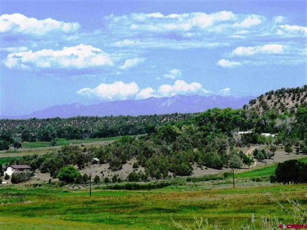 360 Big Elk Drive, Ignacio, CO 81137 