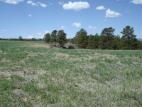 10697 BIG SKY Trail, Elbert, CO 10697 