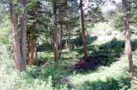 1900 Sleepy Hollow Ct, Estes Park, CO 80517 