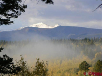 1750 Hazel Lake Drive, Cimarron, CO 81220 