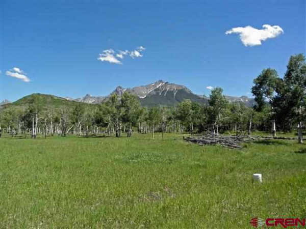 TBD 58P Rd., Placerville, CO 81430 