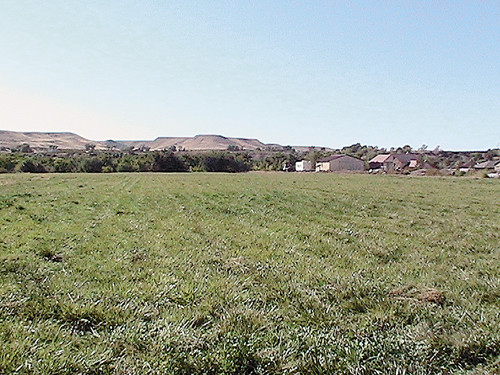 3707 G Road, Palisade, CO 81526 