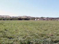 3707 G Road, Palisade, CO 81526 