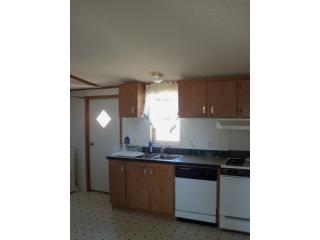 0388 County Rd A, Del Norte, CO 81132 