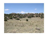 601 Rim Rock RD, Del Norte, CO 81132 