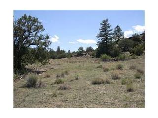 537 Rim Rock Road, Del Norte, CO 81132 