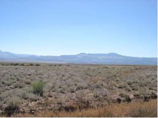 0153 COUNTY ROAD 71, Del Norte, CO 81132 