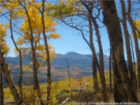1215 Breakneck Pass Ranch Rd 07, Fairplay, CO 80440 