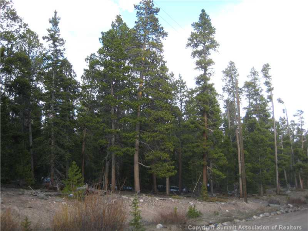 0 Zebulon St 1012, Fairplay, CO 80440 