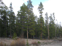 0 Zebulon St 1012, Fairplay, CO 80440 